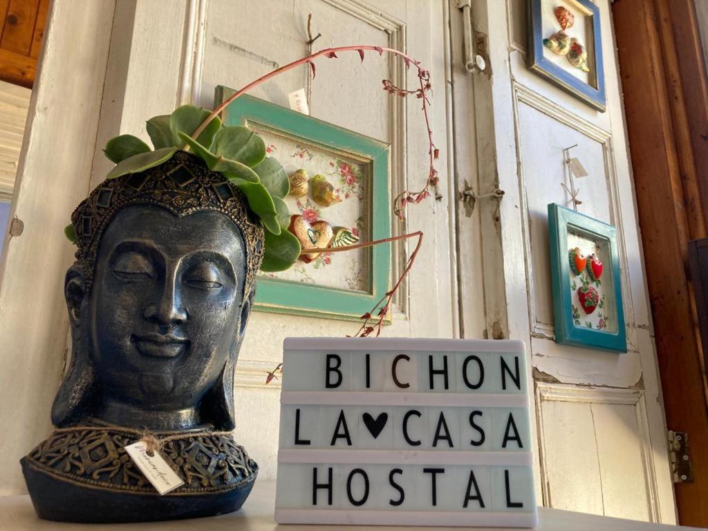 Bichon La Casa Hostal Pichilemu Dış mekan fotoğraf