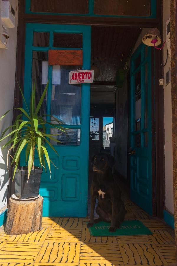 Bichon La Casa Hostal Pichilemu Dış mekan fotoğraf